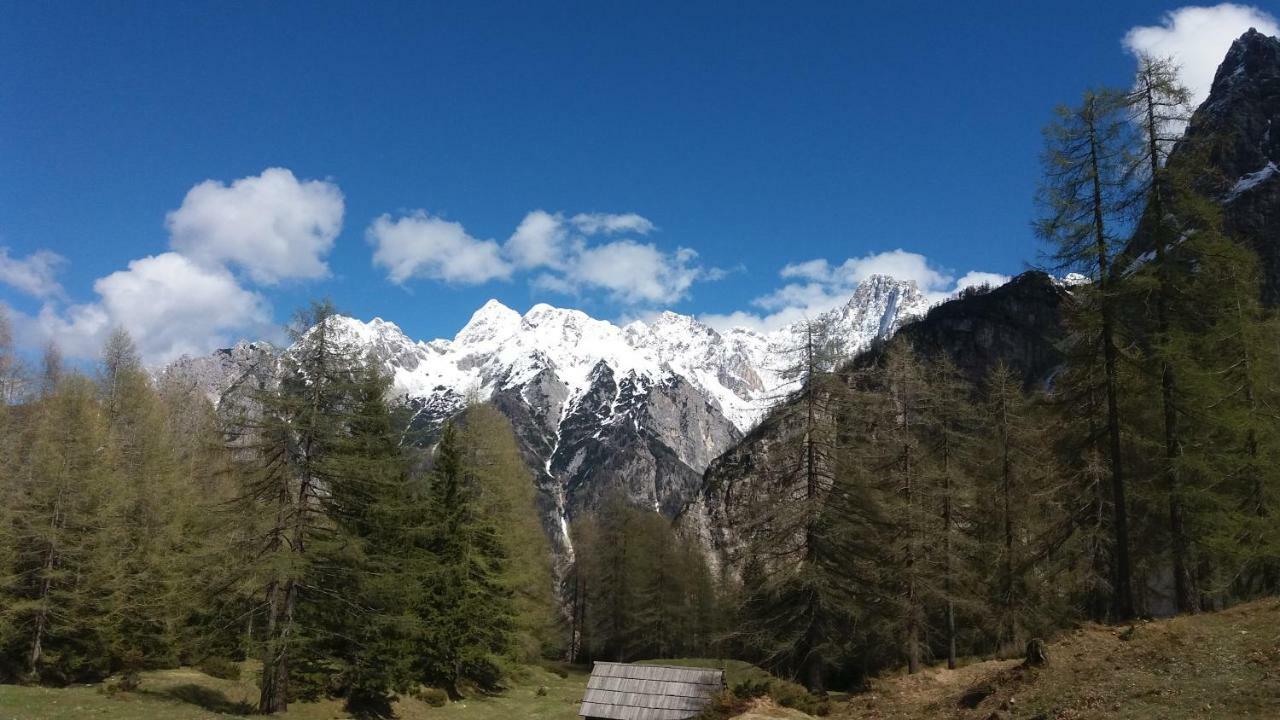 Appleby Apartments Kersnik Bohinj Εξωτερικό φωτογραφία
